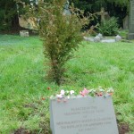 Yew and Plaque