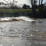 February-13-Ashfrord-Weir-2.jpg