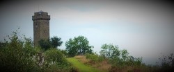 folly