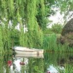 westonbury